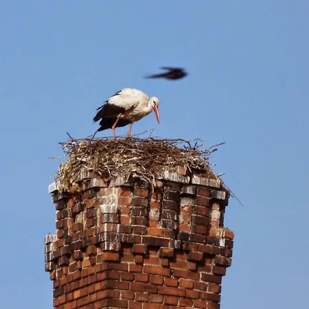 Elbfischerhaus Am Zollensteig *