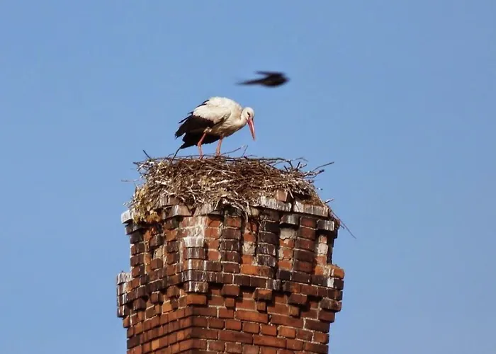 Elbfischerhaus Am Zollensteig *